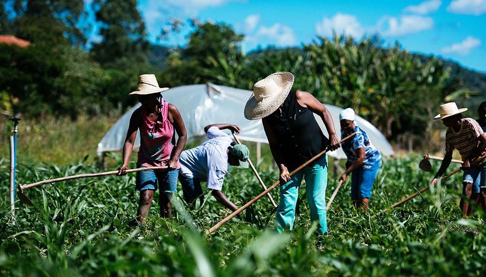 Germán Pez: «La agricultura familiar fue la resistencia al modelo agro exportador»