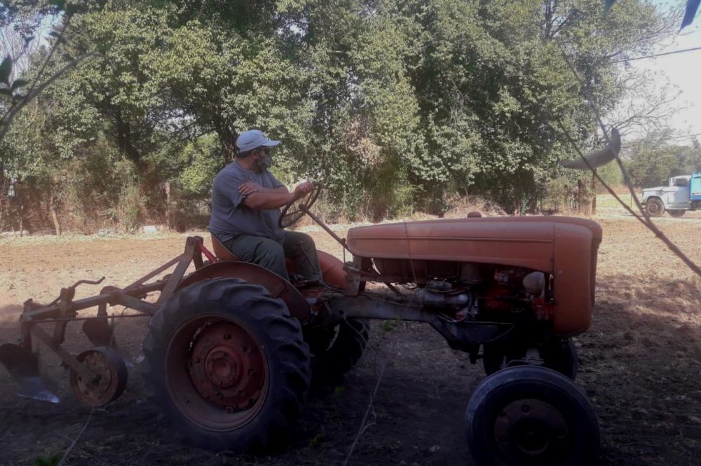 121686350_785587265608816_3589284129852180069_o