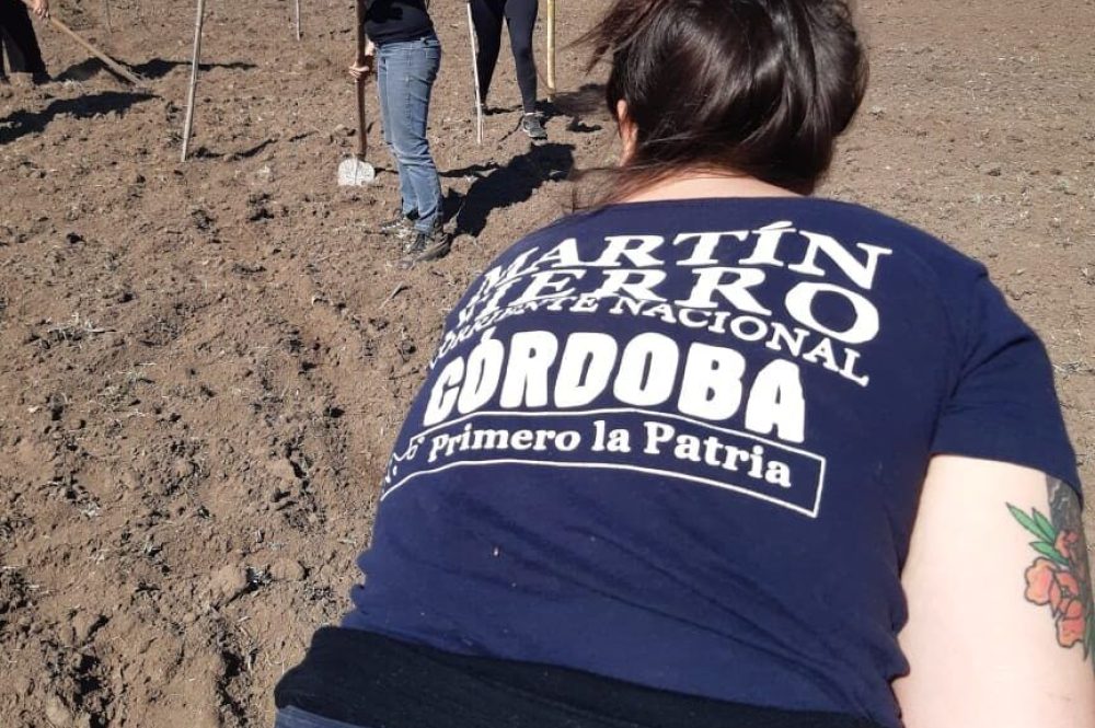 martin fierro economia social