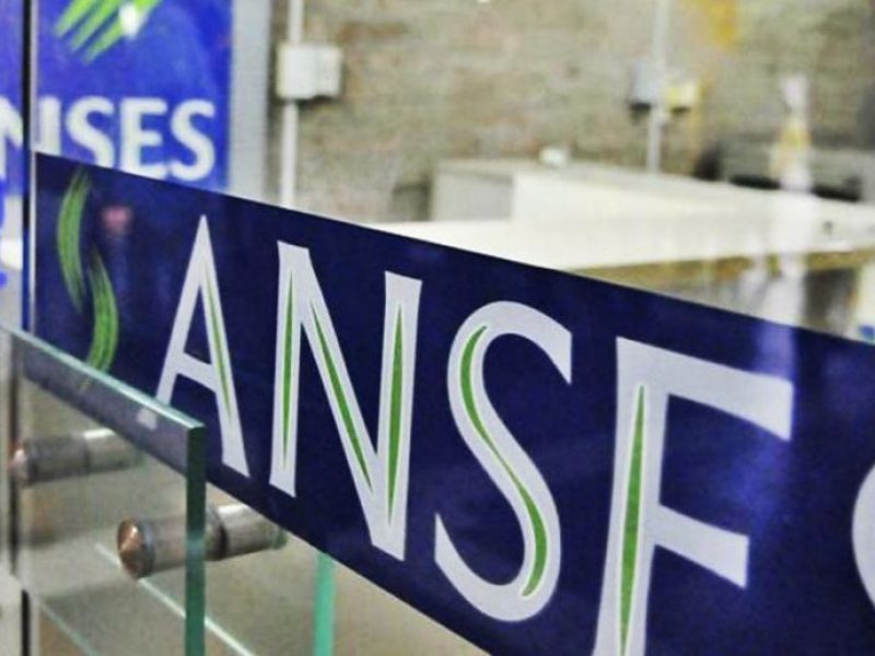 1551091309462anses-e1585595057478