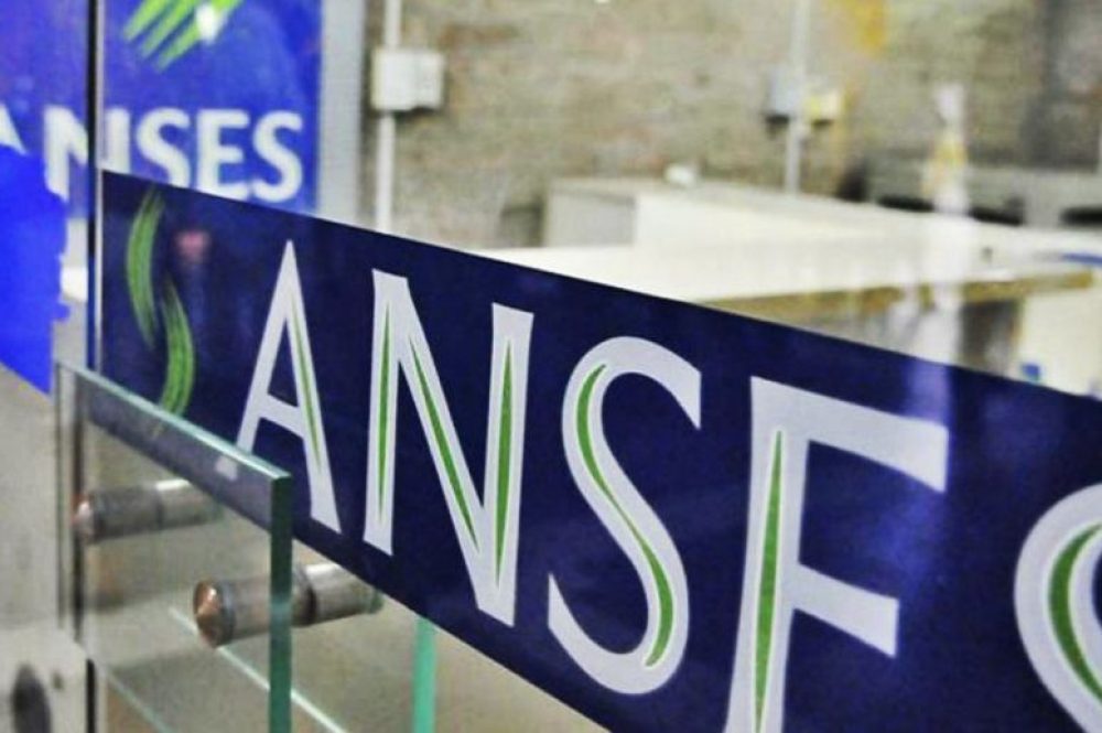 1551091309462anses-e1585595057478