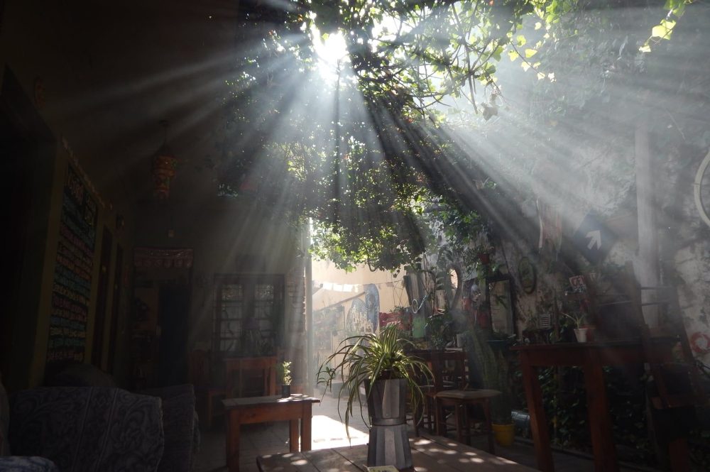 244983008_2058757220943315_8216929412764235458_n