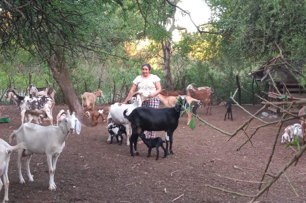 rama agricultura familiar