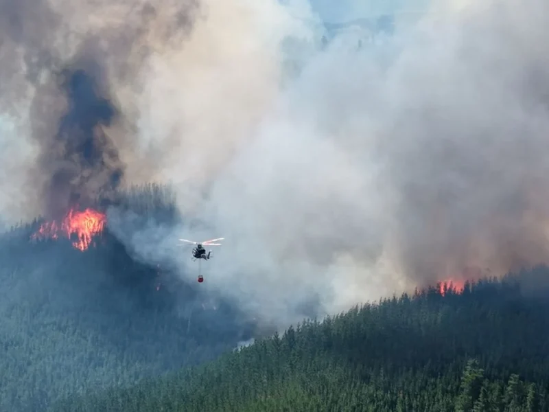 36d016ce-incendio-puerto-patriada-el-hoyo-credito-gobierno-de-chubut