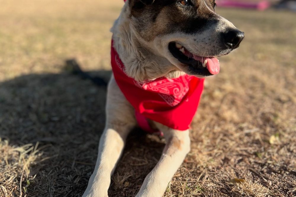 460037970_18006988103646137_6561490204266856701_n