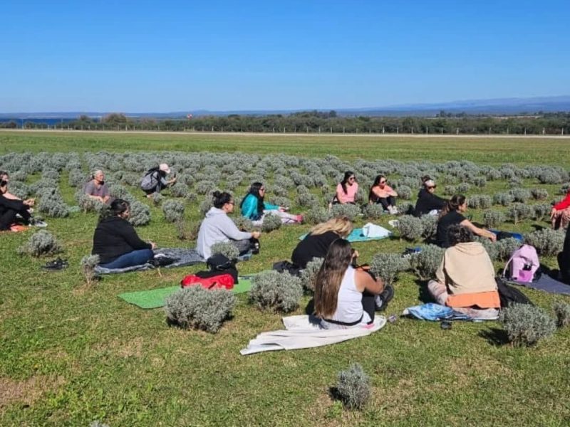 497400802_18065928068313093_8021124301275987331_n (2)