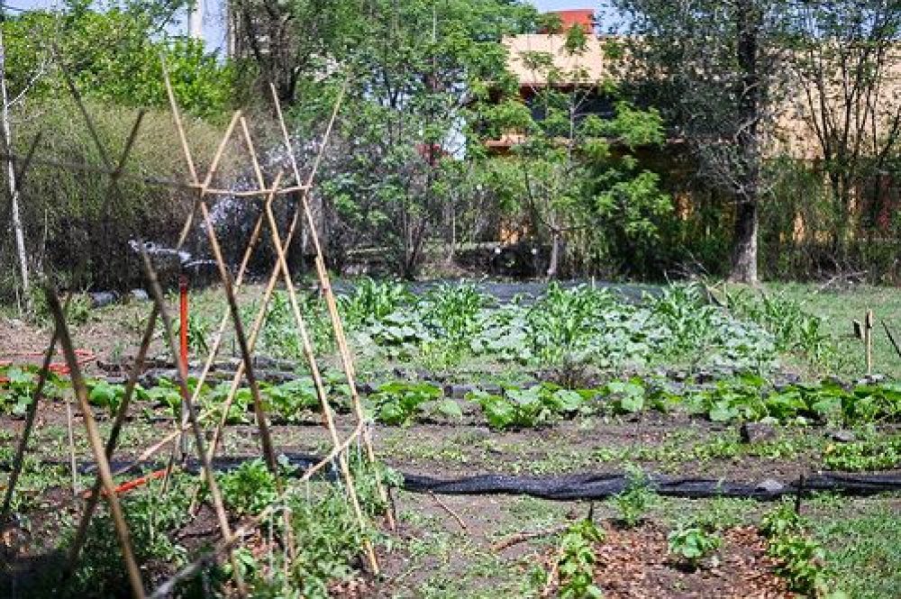 50707280026_d43dafb23c