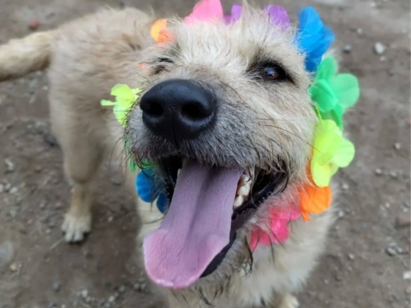 558385479_18375078730182575_4833453002038758118_n 558385479_18375078730182575_4833453002038758118_n