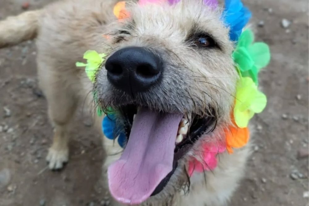 558385479_18375078730182575_4833453002038758118_n