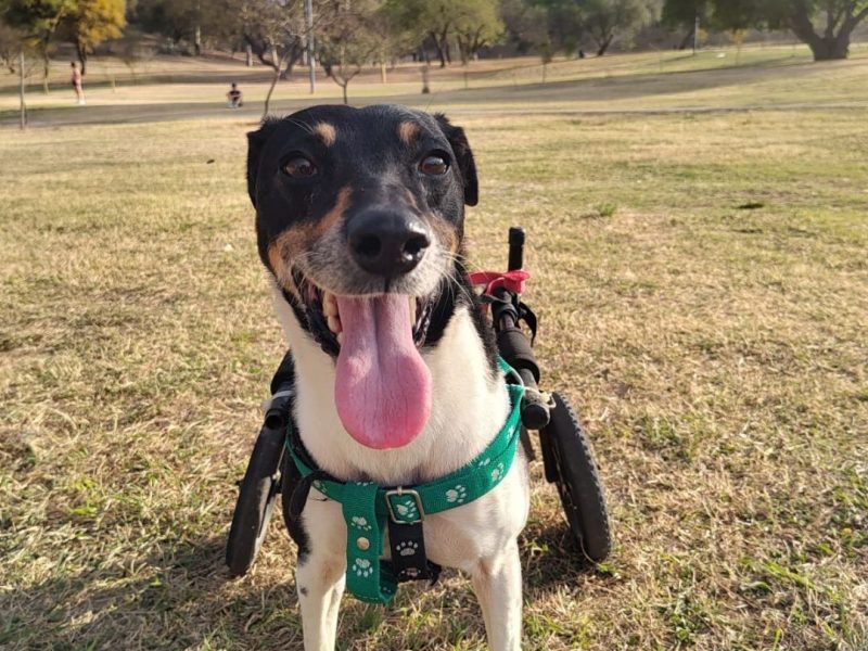 603882290_1178338824429253_5676077961515424675_n