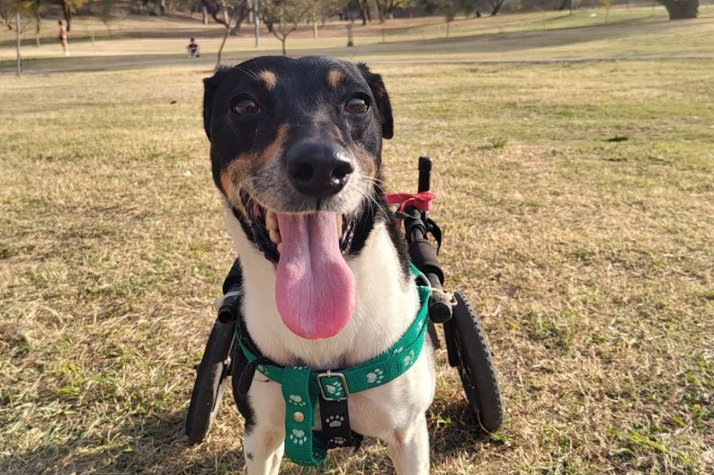 603882290_1178338824429253_5676077961515424675_n