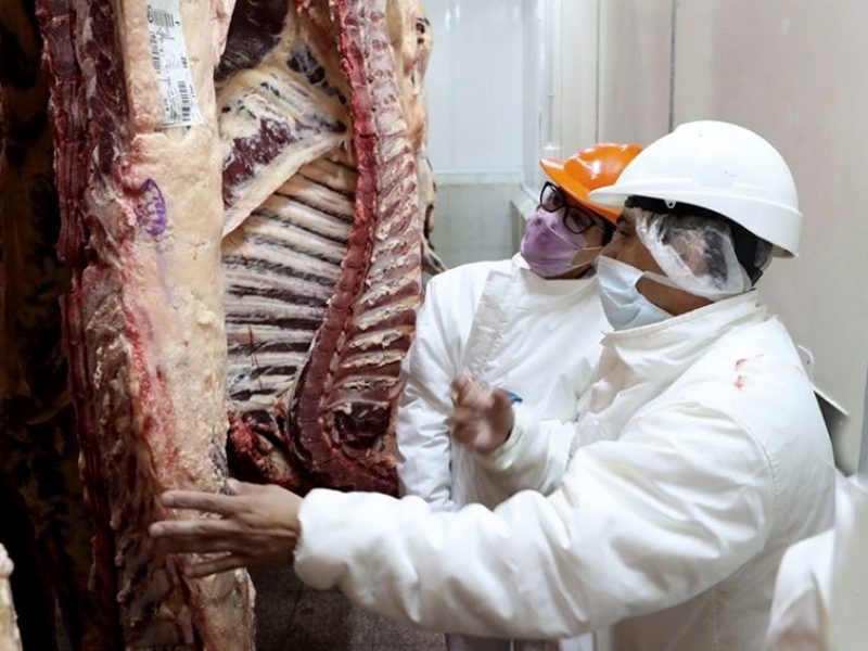 carne