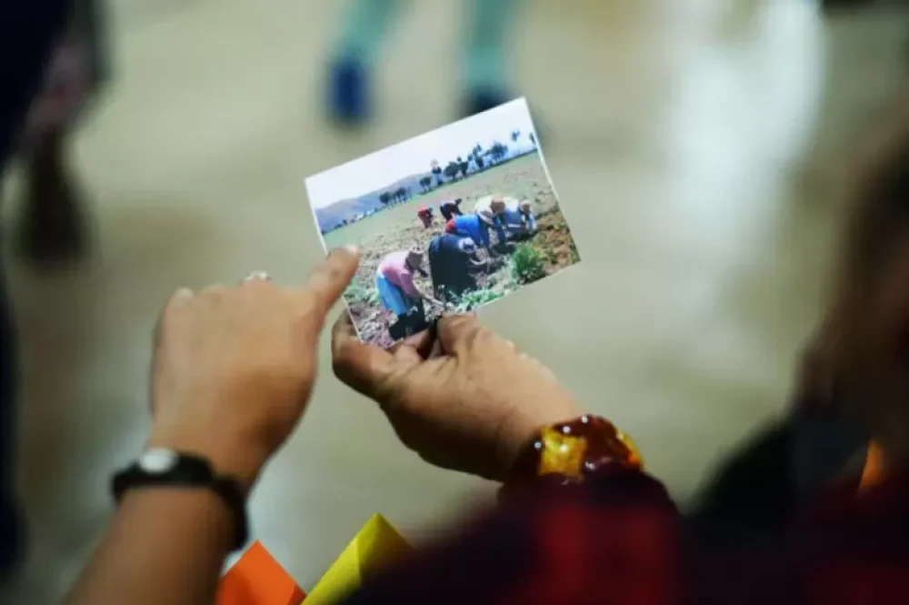 637653904226a__780x780