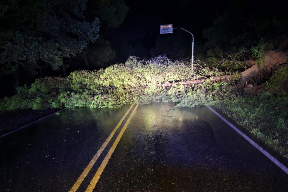 9a38402f-41e5-4128-8d99-784839625aa0