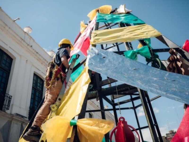 Arbol Plaza San Martin