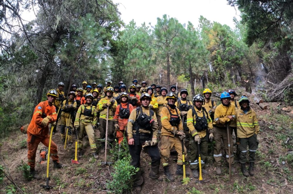 Brigadistas Cordobeses