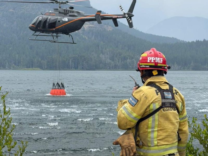 Brigadistas cordobeses