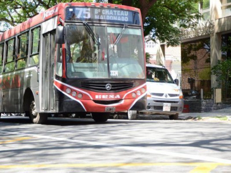 Colectivo-1-800x400