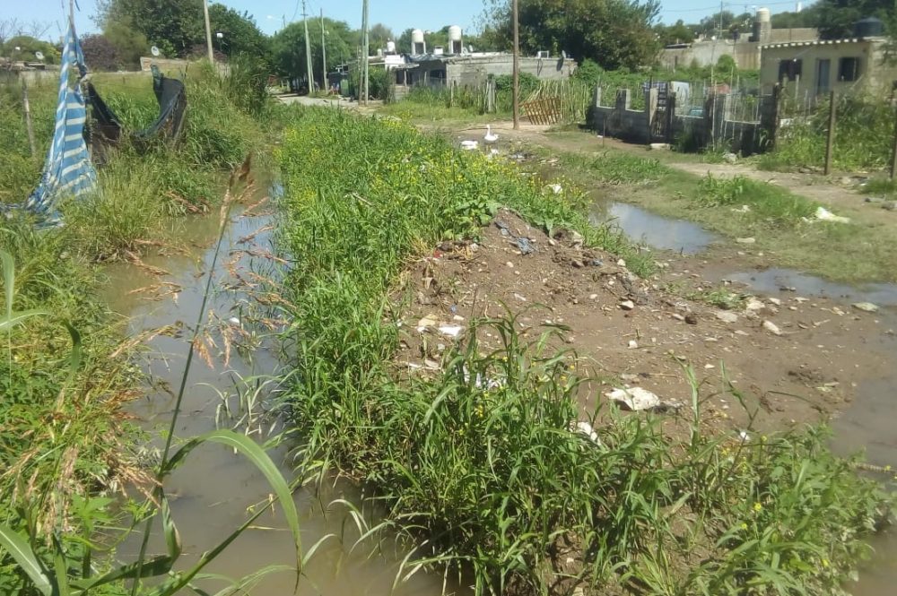 Cooperativa Renacimiento