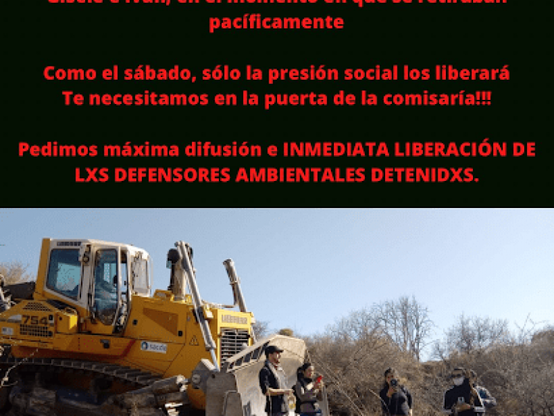 Detenidos Punilla