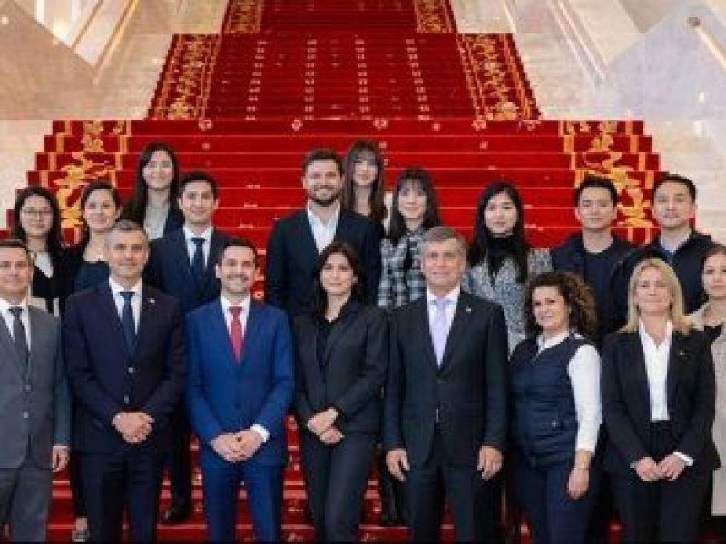 Diputados libertarios