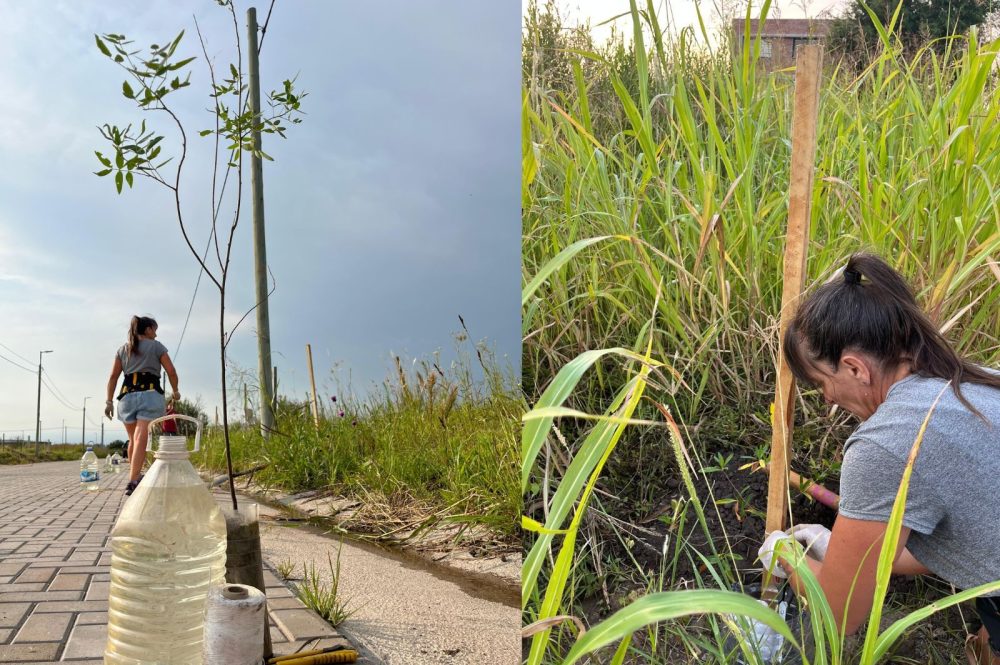 Diseño sin título (1)