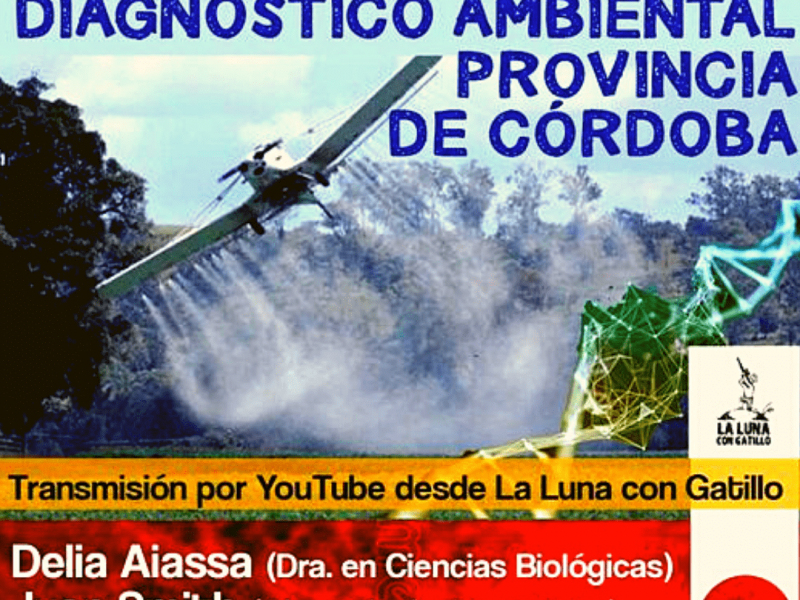 Diseño sin título