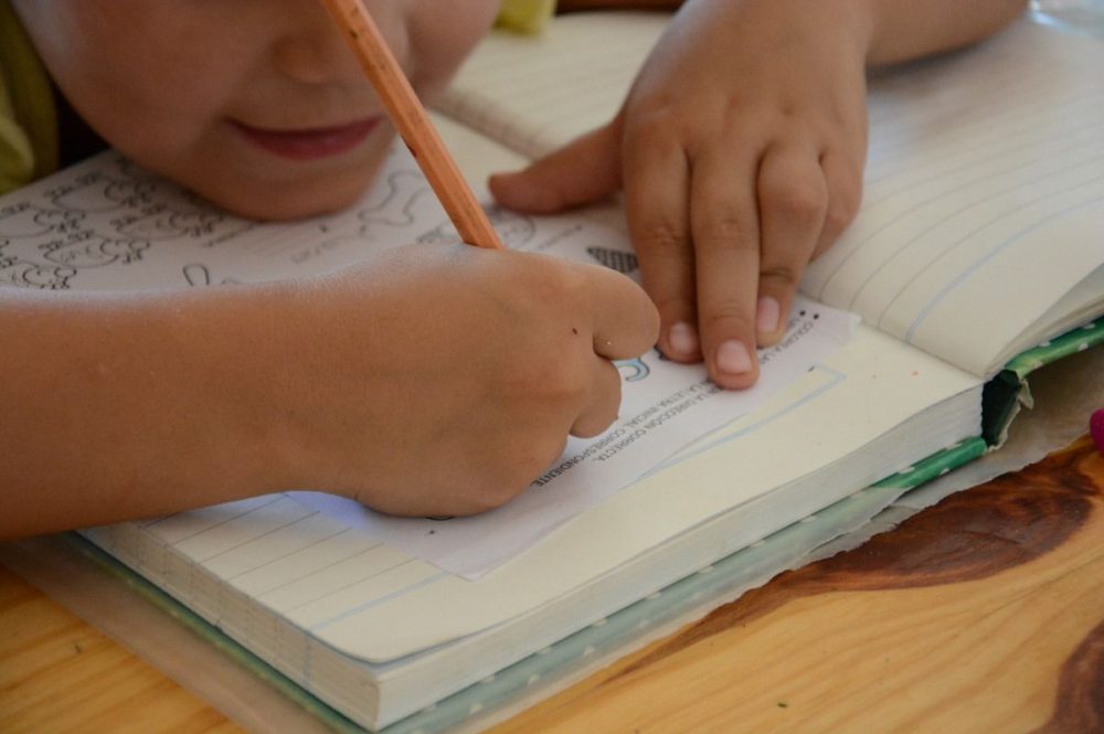 Educacion-1