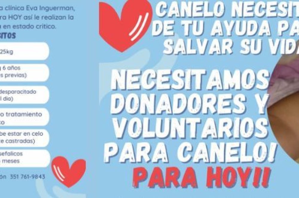 Estudio de Fotografía Portada de Facebook