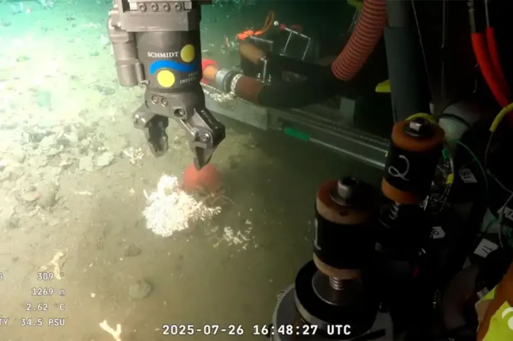 Expedicion del CONICET