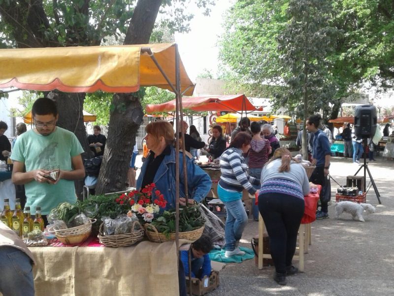 Feria alimentos