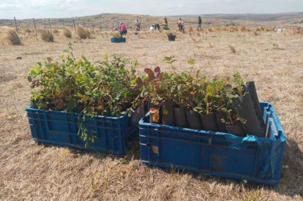 HBRTQOJRMNRDMNZWGBSDGMBTGY