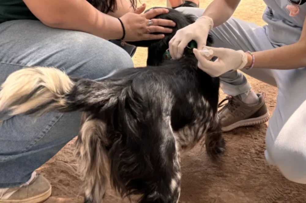 IMG_9799_1-scaled-e1772717901812-800x400