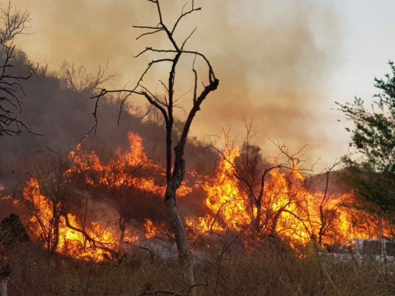 INCENDIOS EN CORDOBA (1)