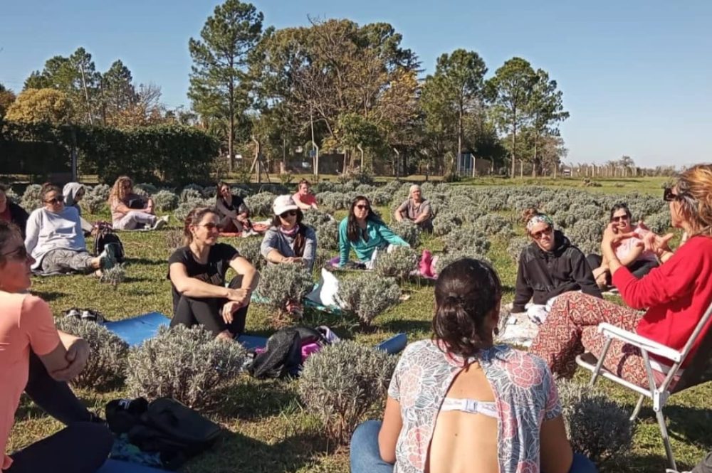 Imagen de WhatsApp 2025-10-25 a las 13.59.53_7df12e7d