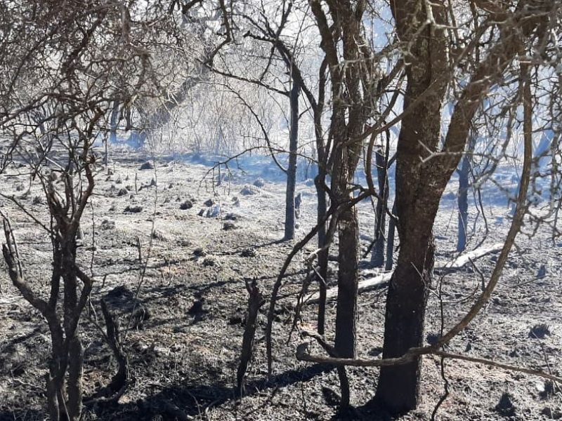 Incendio-Tulumba-2