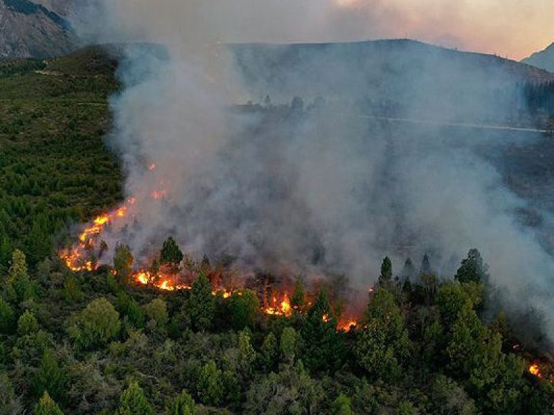Incendio en la Patagonia
