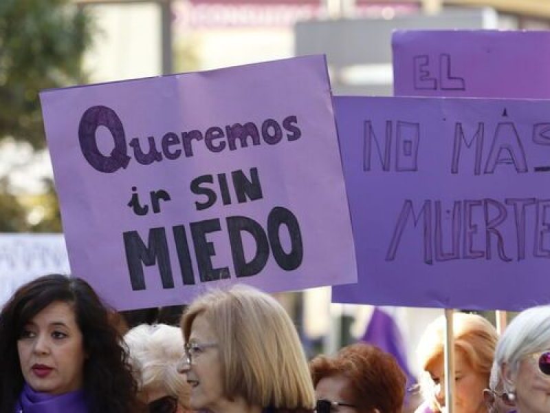 Manifestacion-Cordoba-Internacional-Violencia-Genero_1456964613_120149988_667x375
