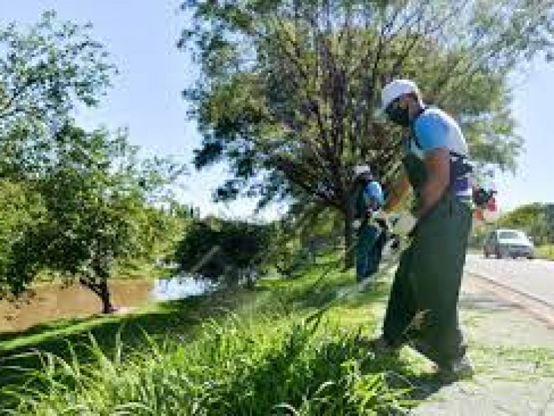 Mantenimiento de espacios verdes