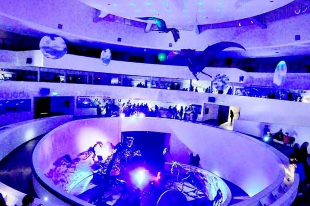 NOche-de-los-museos-cuadrada-1