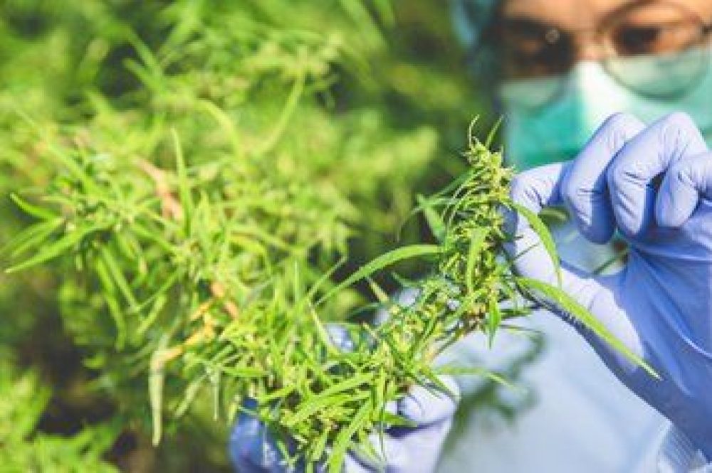 QU7FKDLTJNANVIWMTZIB7TT56A