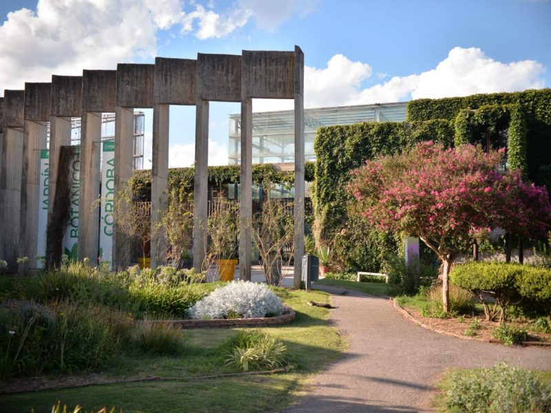 jardin botanico