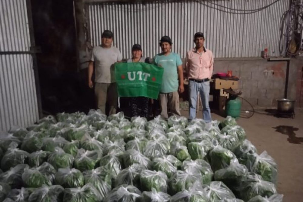 WhatsApp Image 2022-03-12 at 11.07.33