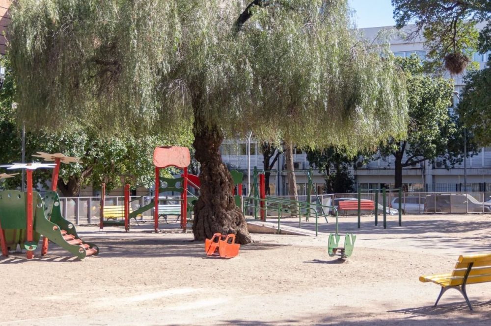 WhatsApp Image 2023-10-05 at 09.51.54