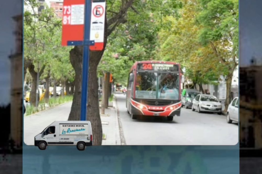 WhatsApp Image 2024-03-28 at 2.14.23 PM