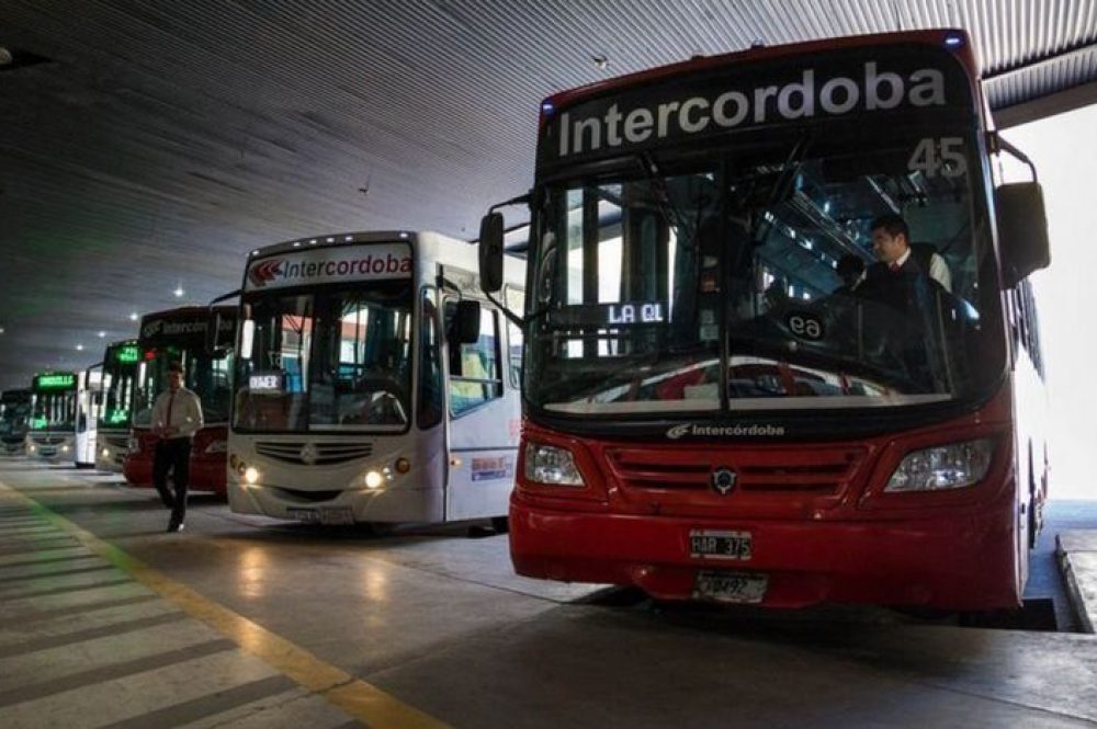 WhatsApp-Image-2024-07-04-at-09.34.12