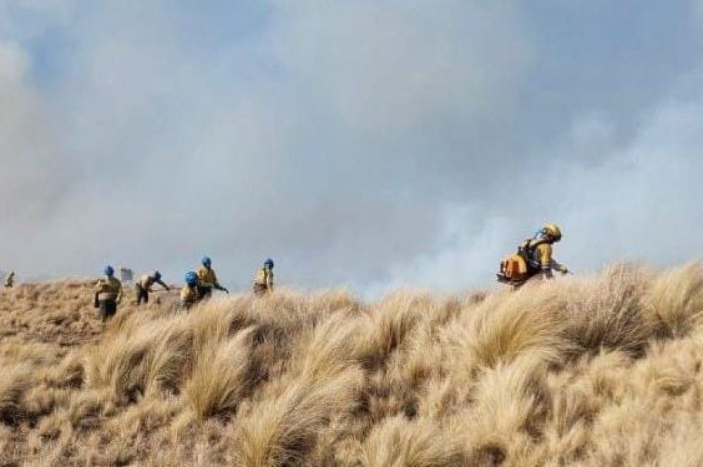 WhatsApp-Image-2024-07-16-at-10.19.23