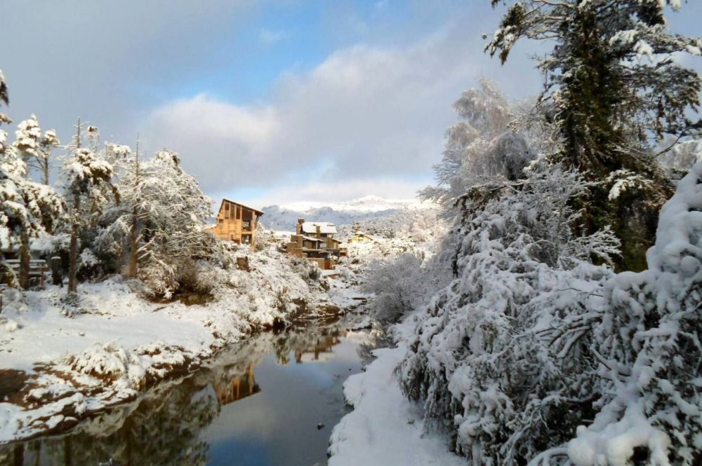 WhatsApp Image 2024-07-24 at 10.08.08