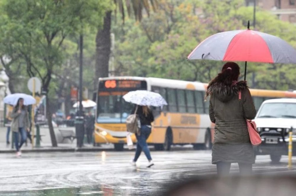 WhatsApp-Image-2024-08-30-at-09.48.28