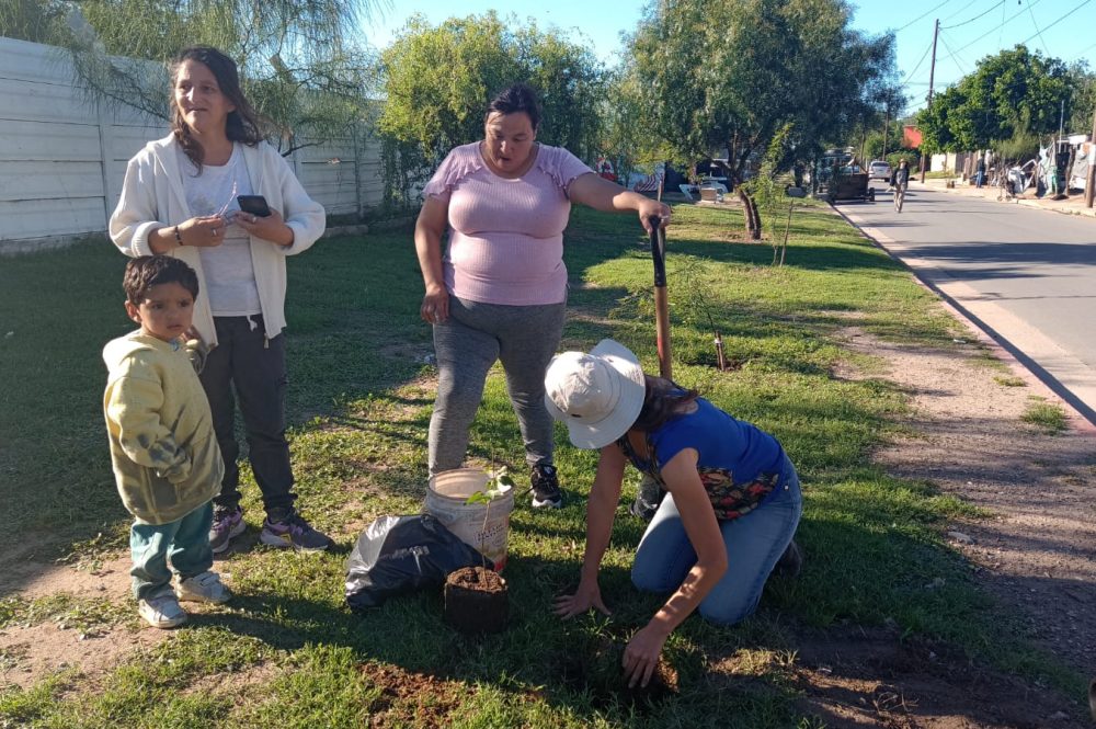 WhatsApp Image 2024-10-25 at 17.55.53 (1)